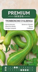 Squash Tromboncino D'Albenga Seeds